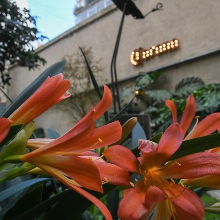 Casa Franca Recoleta Hostel Boutique Буэнос-Айрес Экстерьер фото